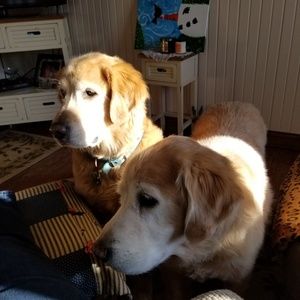 Meet your Posher, Jane